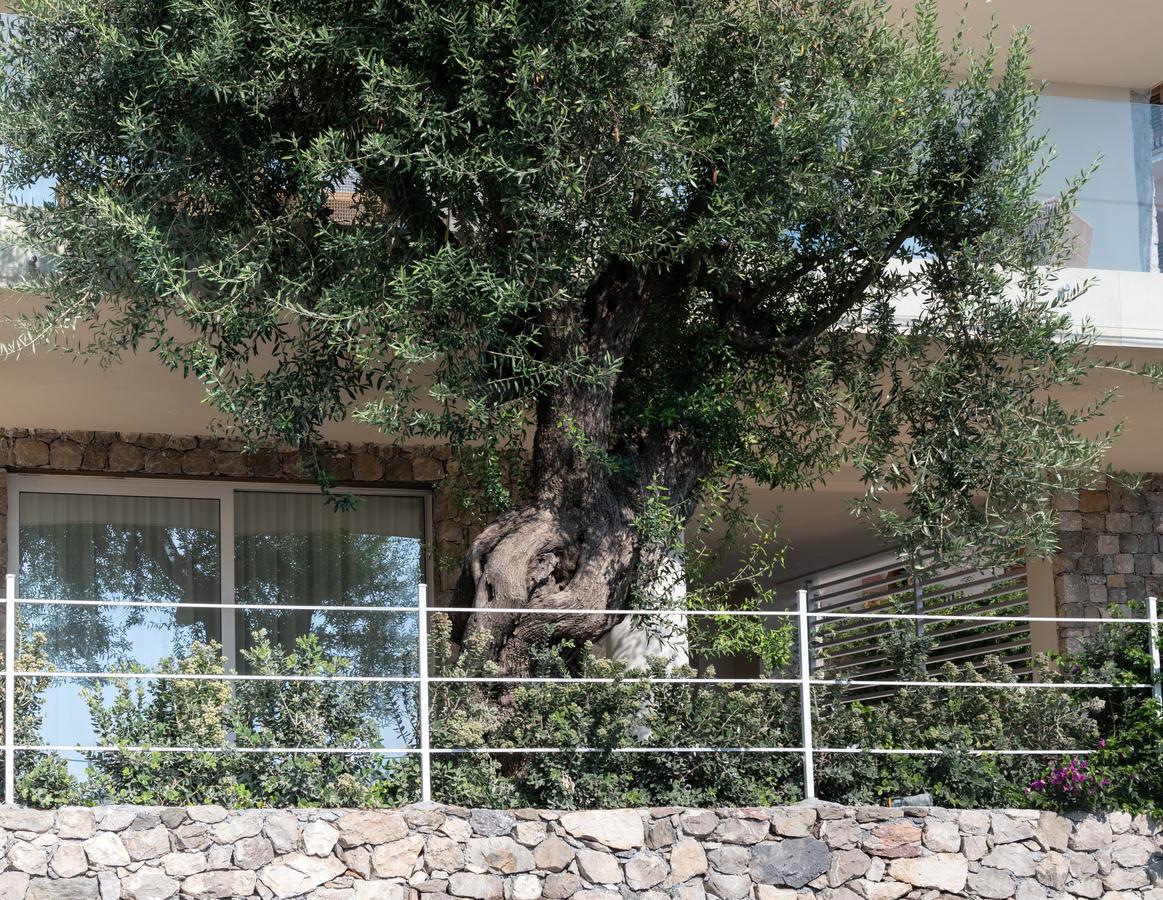 Iancu Charme Apartments Taormina Exterior foto